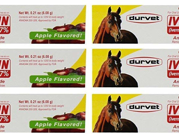 Durvet 6 Pack of Ivermectin Paste, 0.21 Ounces each, Apple Flavored Horse Wormer
