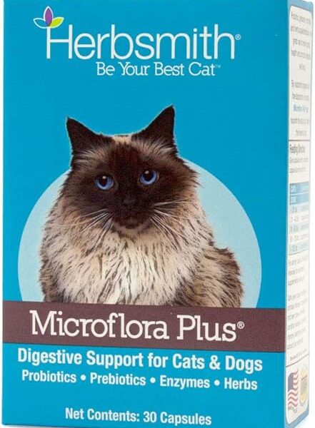 Microflora Plus ? 4-in-1 Complete Cat Digestive Aid ? Cat Prebiotics and Probiotics ? Cat Probiotics for Diarrhea - 30 Capsules